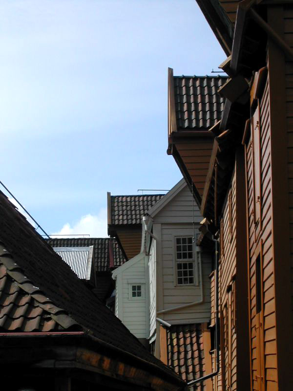 Bryggen Rooftops